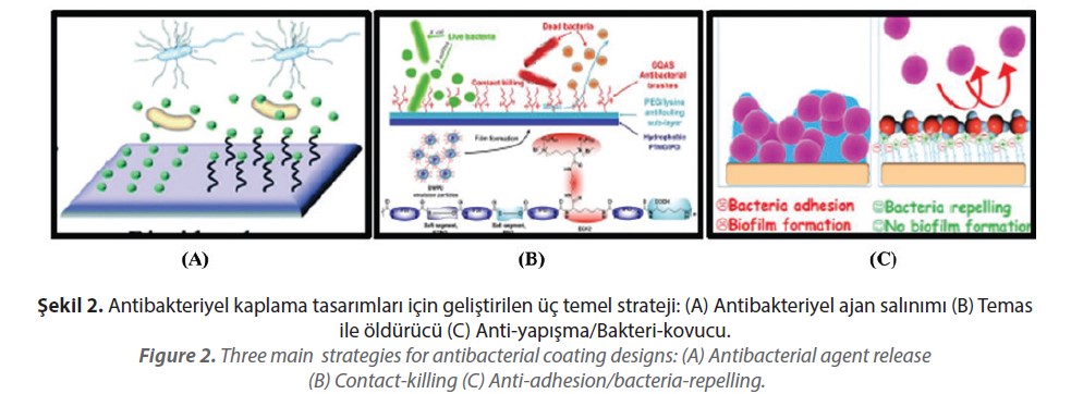Antibakteriyel kaplama tasarımları